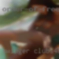 Swinger clubs